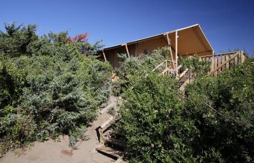 Imagen general del Capalbio Glamping in Tuscany. Foto 2