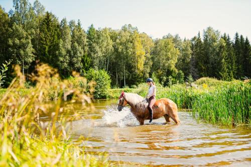Imagen general del Caravans Camping in Young Riders School. Foto 3