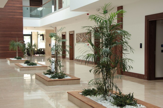 Imagen de los interiores del Carissa Hotel. Foto 15
