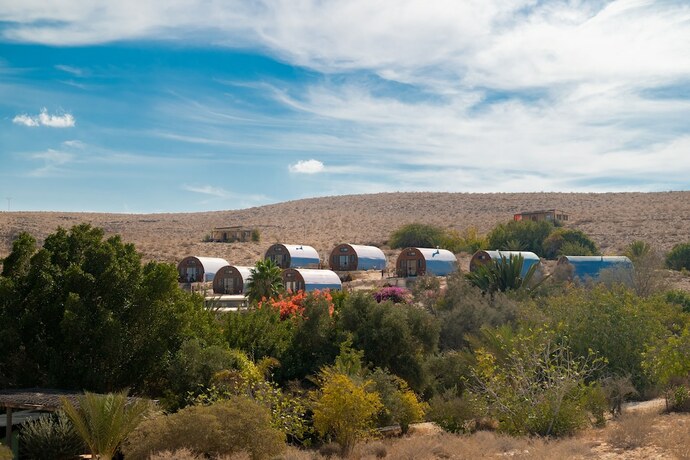 Imagen general del Carmey Avdat Farm. Foto 6