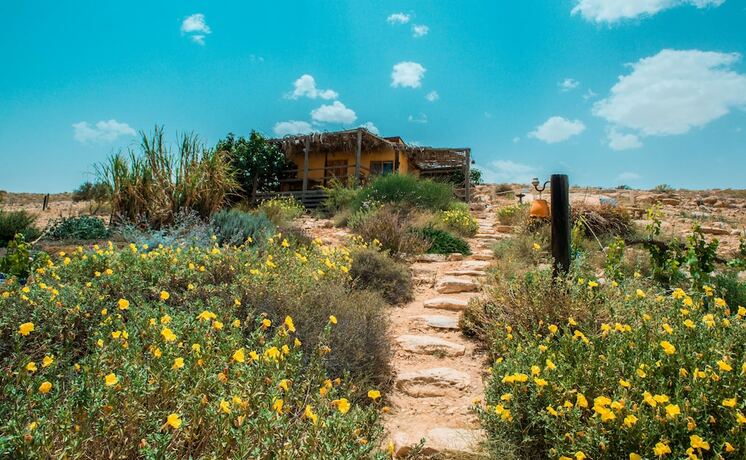 Imagen general del Carmey Avdat Farm. Foto 9