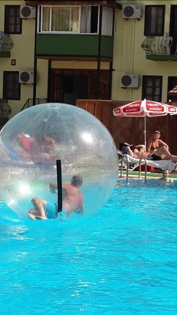 Imagen de la piscina del Carmina Hotel. Foto 15