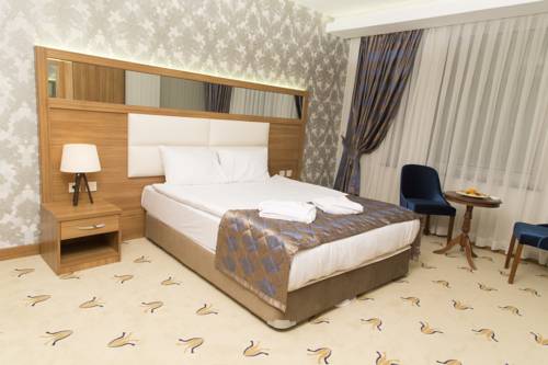 Imagen de la habitación del Carmine Otel. Foto 2