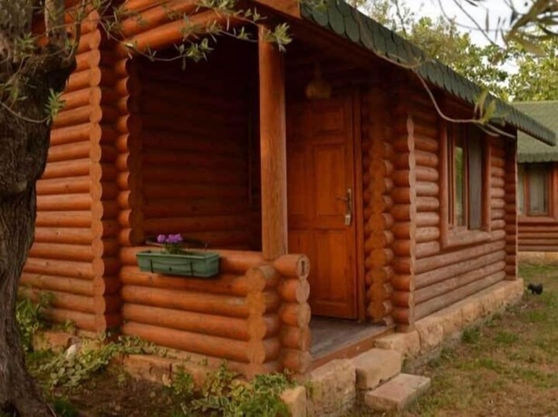 Imagen de la habitación del Carpe Diem Bungalow. Foto 17