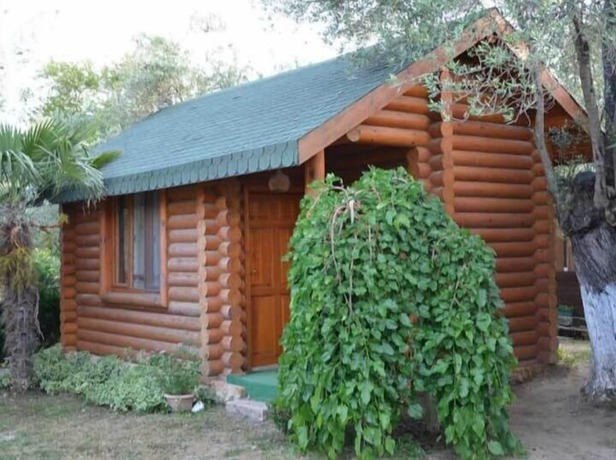 Imagen de la habitación del Carpe Diem Bungalow. Foto 19