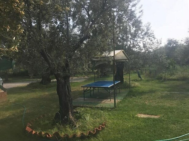 Imagen general del Carpe Diem Bungalow. Foto 14