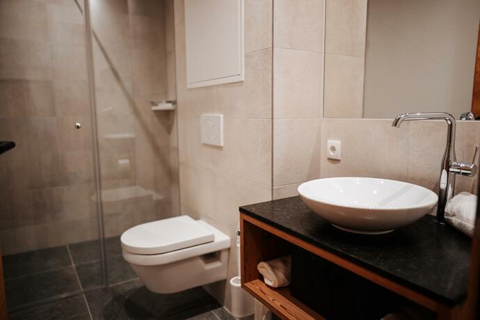 Imagen general del Carpe Solem Rauris by ALPS RESORTS. Foto 1