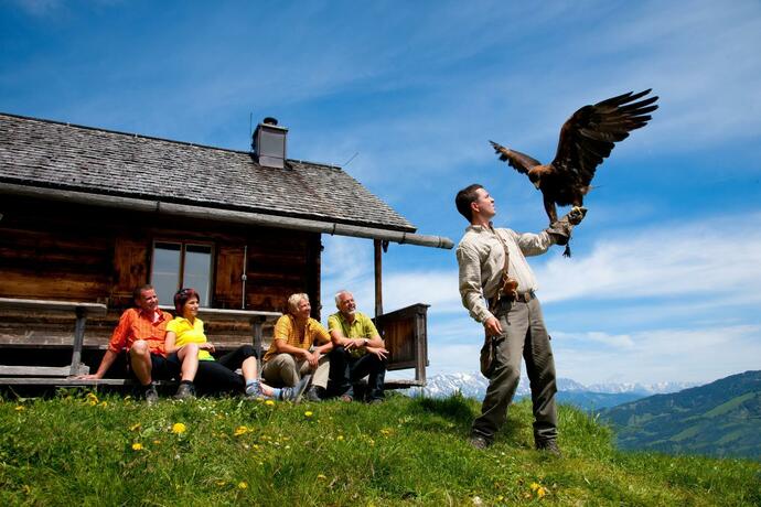 Imagen general del Carpe Solem Rauris by ALPS RESORTS. Foto 22