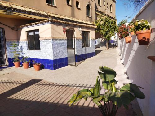 Imagen general del Casa Cortijo Olivar. Foto 7