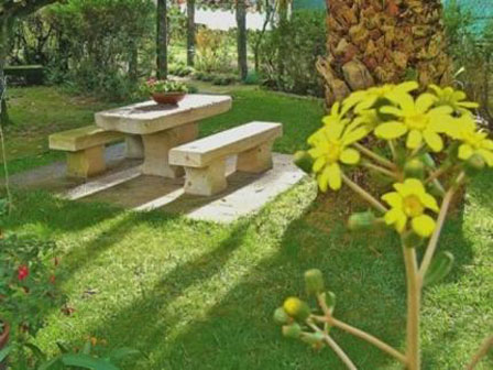 Imagen general del Casa De Sao Goncalo. Foto 3