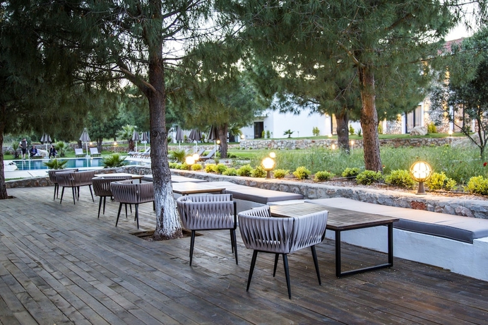 Imagen del bar/restaurante del Casa Elia. Foto 5