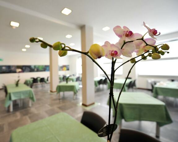 Imagen general del Casa Immacolata. Foto 4