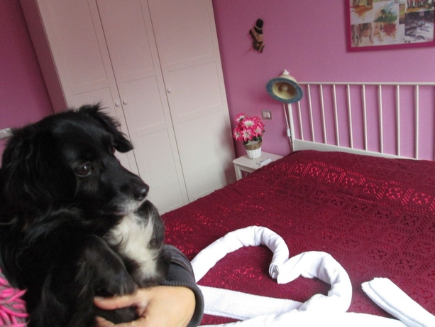 Imagen de la habitación del Casa Particular Underground. Foto 10