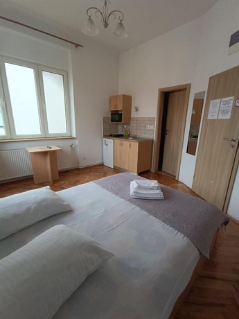 Imagen de la habitación del Casa Rezidentiala Pasteur. Foto 15