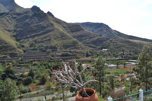 Imagen general del Casa Rural Agaete. Foto 9