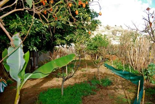 Imagen general del Casa Rural De Tio Felix. Foto 3