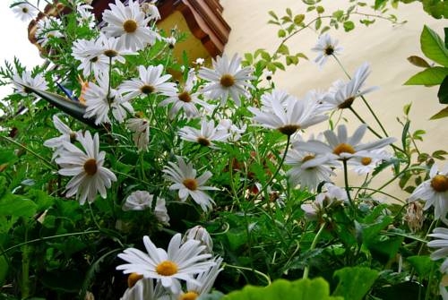 Imagen general del Casa Rural De Tio Felix. Foto 4