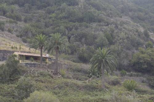 Imagen general del Casa Rural El Rincón de Antonia. Foto 8