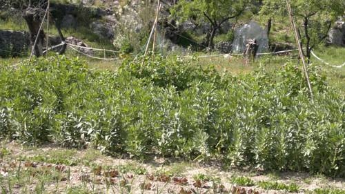 Imagen general del Casa Rural La Casota. Foto 6