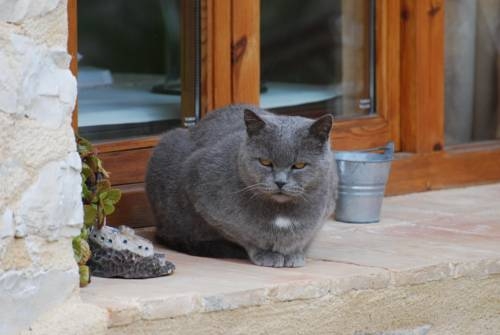 Imagen general del Casa Rural La Casota. Foto 9