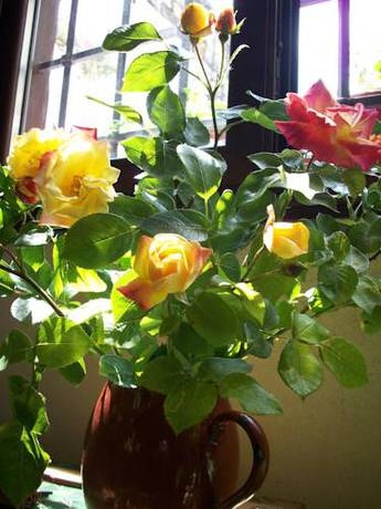 Imagen general del Casa Rural La Llave. Foto 3