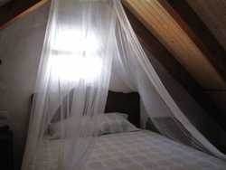 Imagen general del Casa Rural Los Pepe. Foto 4