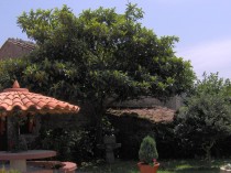 Imagen general del Casa Rural Raul. Foto 2