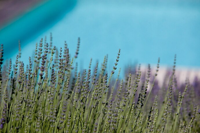 Imagen general del Casale Delle Lavande 10. Foto 6