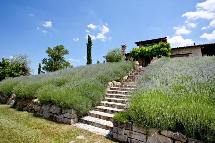 Imagen general del Casale Delle Lavande 10. Foto 9