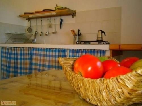 Imagen general del Casas Harry. Foto 4