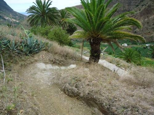 Imagen general del Casas Rurales Hermigua. Foto 9