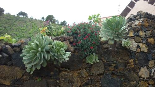 Imagen general del Casas Rurales La Pestilla. Foto 3