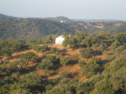 Imagen de los exteriores del Casas Rurales Sierra Norte. Foto 2
