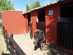 Imagen de los exteriores del Caserio de la Fuente. Foto 5