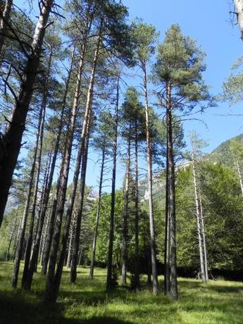 Imagen general del Caserón Baruca. Foto 6