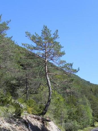 Imagen general del Caserón Baruca. Foto 7