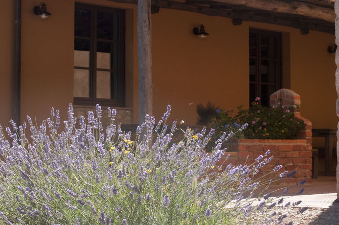 Imagen de la habitación del Casone Ugolino. Foto 9