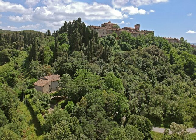 Imagen general del Castello Ginori Di Querceto. Foto 10