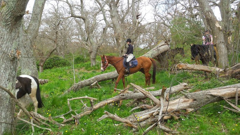 Imagen general del Castello di Santa Cristina. Foto 3