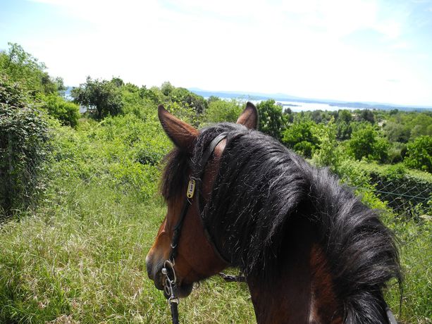 Imagen general del Castello di Santa Cristina. Foto 4