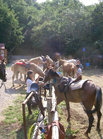 Imagen general del Castello di Santa Cristina. Foto 6