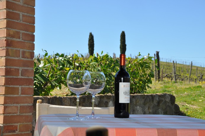 Imagen general del Castello di Selvole-Adults Only. Foto 1