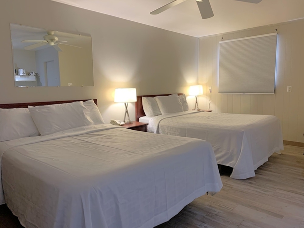 Imagen de la habitación del Castle Motel Edson. Foto 15