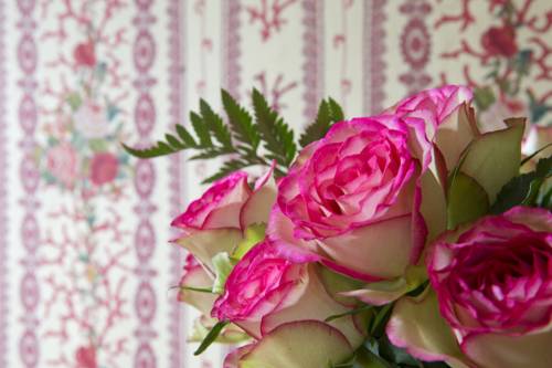 Imagen de la habitación del Cazaudehore - La Forestiere. Foto 7