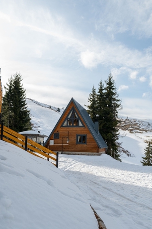 Imagen de la habitación del &Ccedil;AMBAŞI KAYAK VE DOĞA TESİSİ. Foto 5