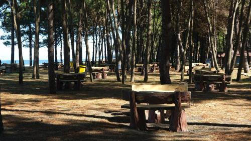 Imagen general del ÇINARSUYU OTEL- Sosyal Tesisleri. Foto 15