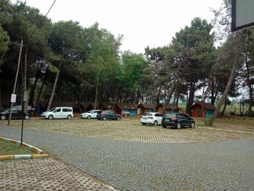 Imagen general del ÇINARSUYU OTEL- Sosyal Tesisleri. Foto 16