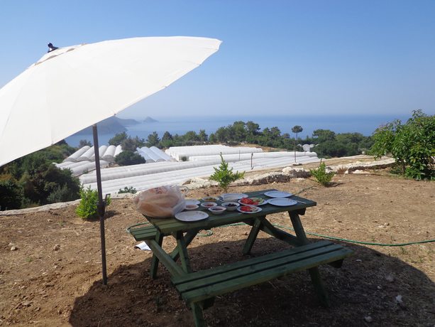 Imagen del bar/restaurante del &Ccedil;iftlik Tepesi. Foto 4