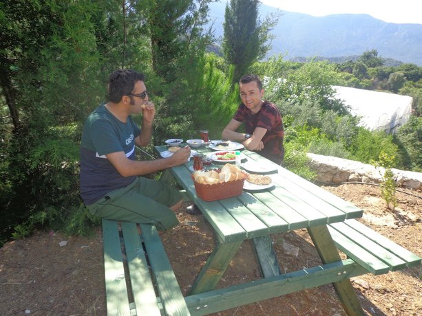 Imagen de la habitación del &Ccedil;iftlik Tepesi. Foto 8