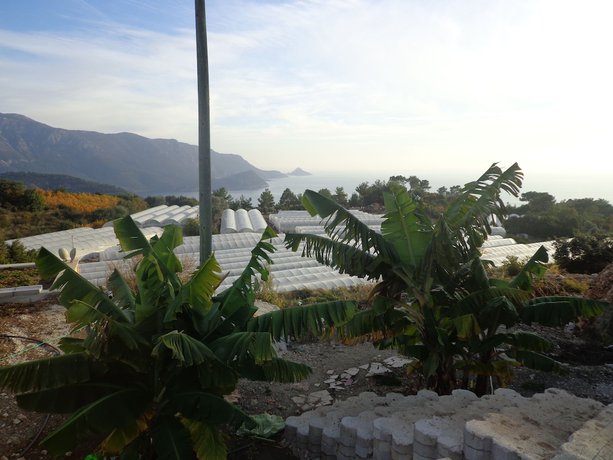 Imagen de los exteriores del &Ccedil;iftlik Tepesi. Foto 16